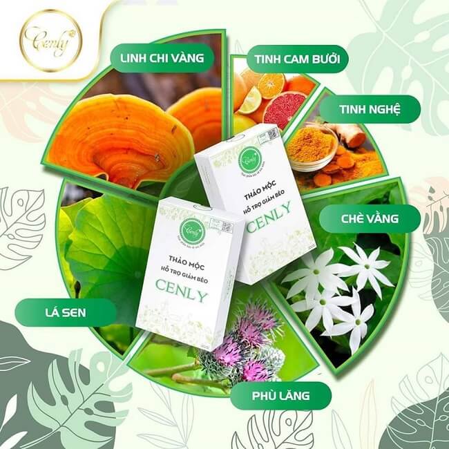 Phân phối thảo mộc giảm cân Cenly chính hãng Kho chuyên sỉ thảo mộc giảm cân Cenly chính hãng