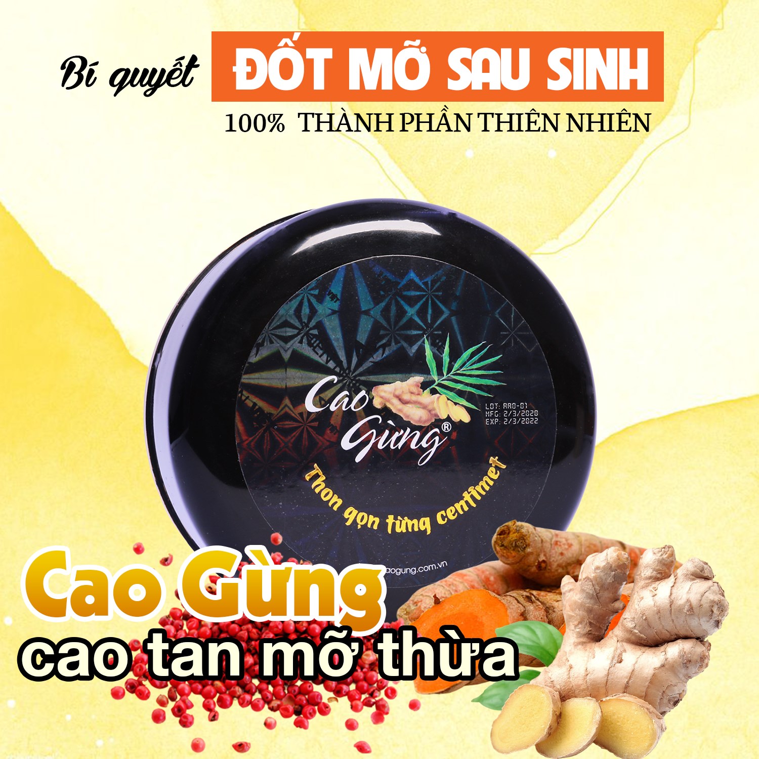 14329-post-app-1077-122903089-768254873906166-6978078184353137899-o-8.jpg Cao Gừng Tan Mỡ Bụng Thiên Nhiên Việt 250g Phiên Bản 2025 - Tặng Cao Gừng Nghệ Đỏ - 8936079033002