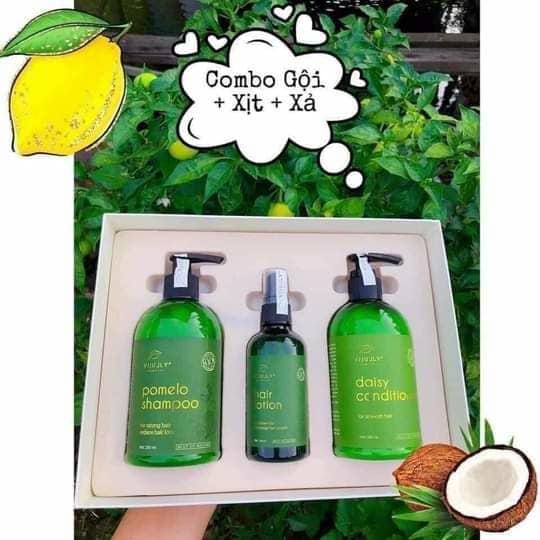Combo trị rụng tóc tinh dầu bưởi ViJully Combo trị rụng tóc tinh dầu bưởi ViJully