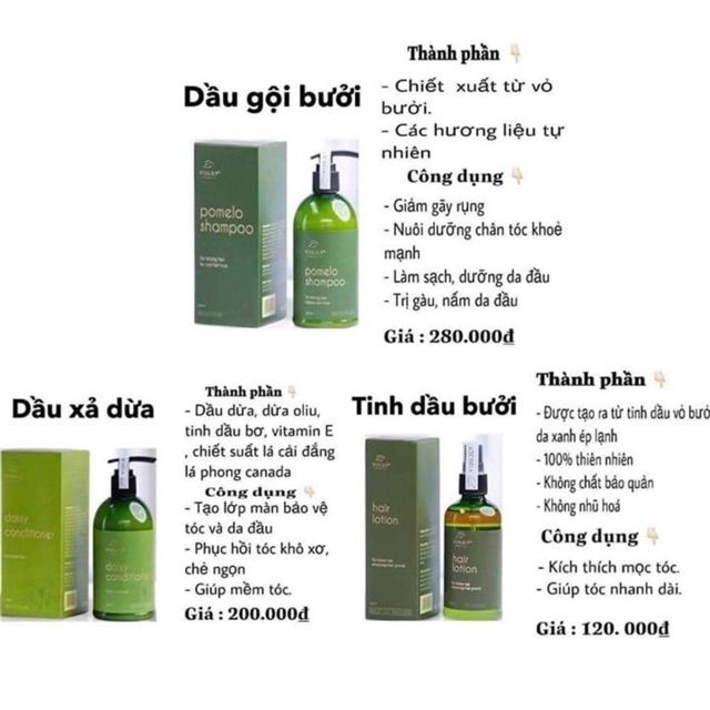 Combo trị rụng tóc tinh dầu bưởi ViJully Combo trị rụng tóc tinh dầu bưởi ViJully