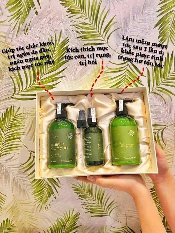 Combo trị rụng tóc tinh dầu bưởi ViJully Combo trị rụng tóc tinh dầu bưởi ViJully
