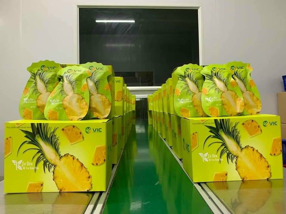 Nguồn sỉ kẹo dứa giảm cân 7 viên Vic chính hãng Kẹo dứa giảm cân 7 viên Vic chính hãng