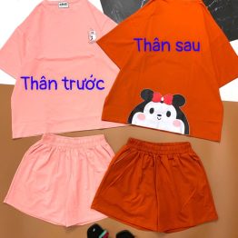 Set bộ nữ quần đùi thun cotton tay lỡ - DB0447