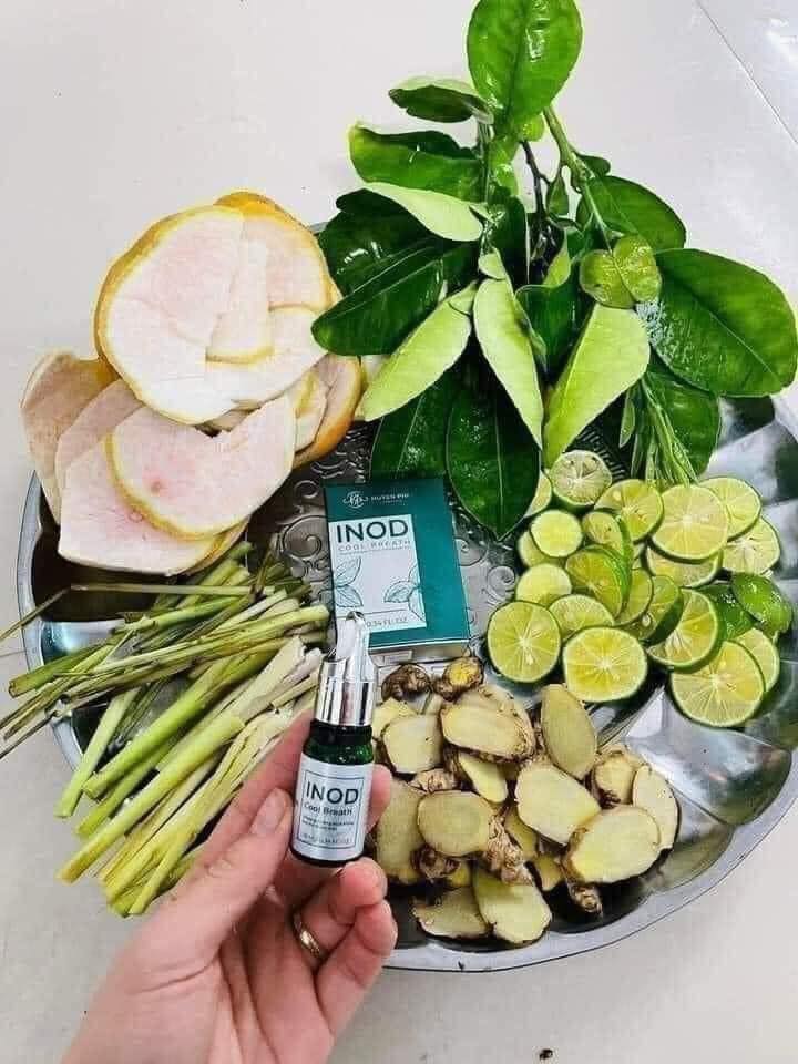 17435-296864521-123925223711626-8406369626182200814-n-1.jpg Serum Inod Cool Breath Giúp Thơm Miệng Huyền Phi - 8938515976430