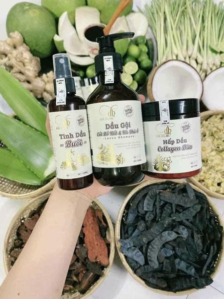 18440-337861090-816335249832025-8918593577398844211-n-4.jpg Combo Gội Xả Xịt Bồ Kết Bưởi Dừa Dr Di Hi - COMBODIHI