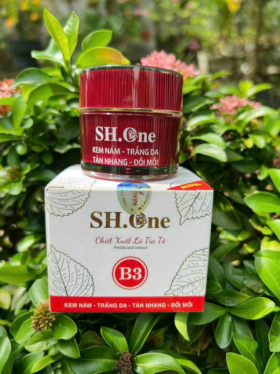 Nguồn sỉ kem Face Nám Trắng Da B3 SH One Đỏ Chiết Xuất Lá Tía Tô Nguồn sỉ kem Face Nám Trắng Da B3 SH One Đỏ Chiết Xuất Lá Tía Tô