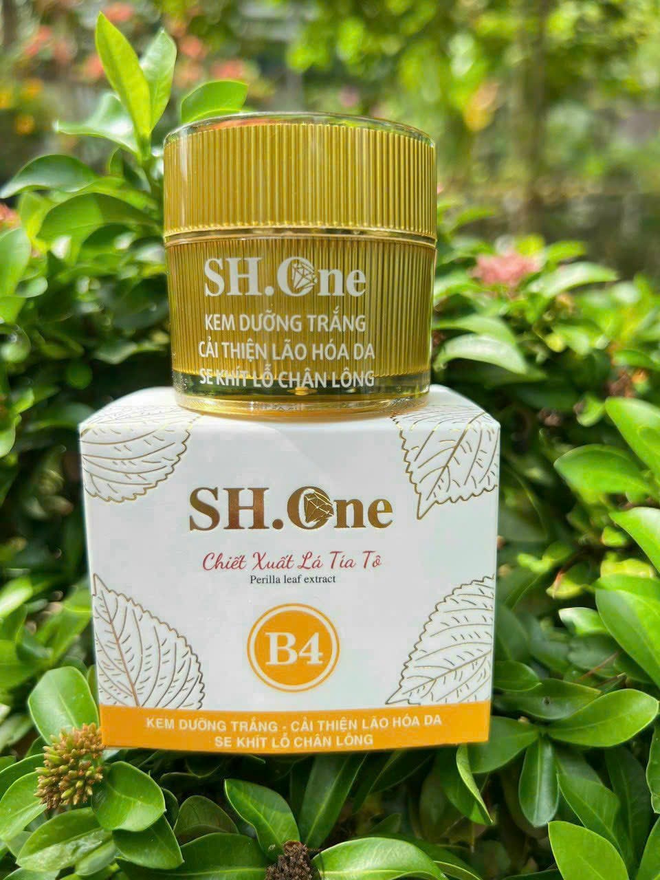 Kem Face Dưỡng Trắng Chống Lão Hoá B4 SH One Vàng Chiết Xuất Lá Tía Tô Kem Face Dưỡng Trắng Chống Lão Hoá B4 SH One Vàng Chiết Xuất Lá Tía Tô