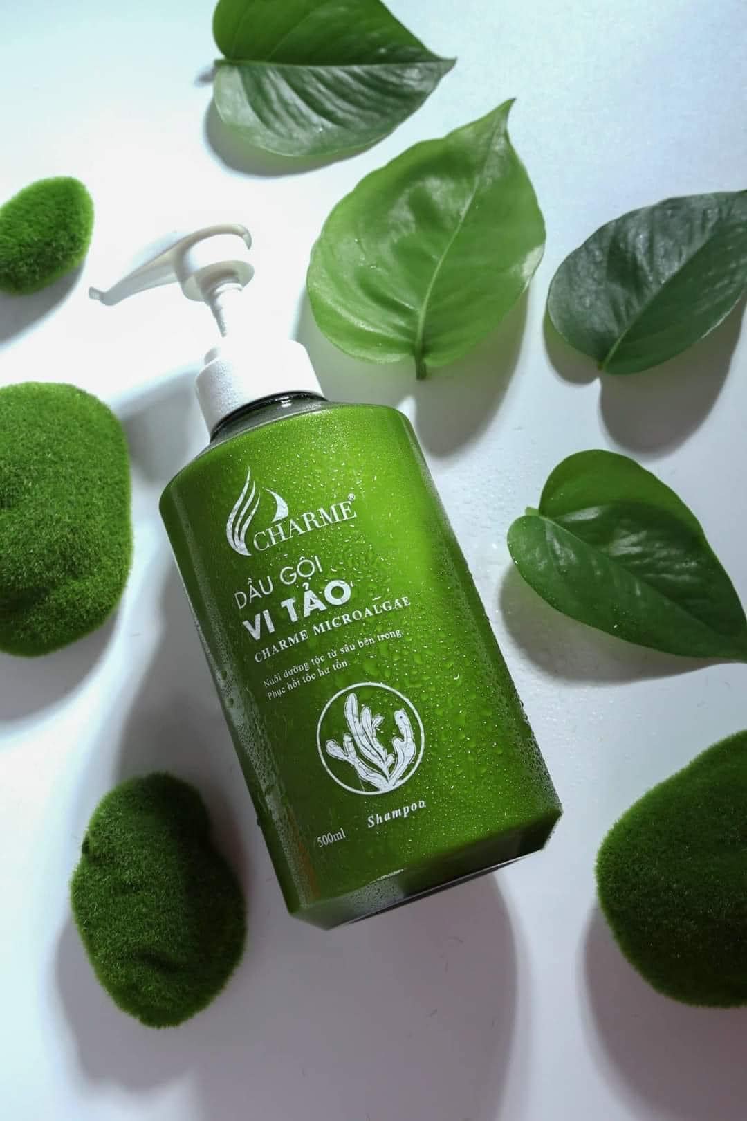 20657-365424856-2536454119853984-4397049237402026258-n-1.jpg Combo Gội Xả Vi Tảo Charme Tặng Xịt Tóc - GOIXACHARME01
