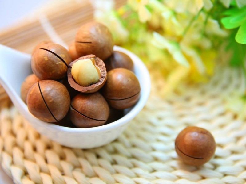 22997_hinh-anh-hat-macca_20241114103959.jpg Hộp Quà Tết Hạt Macca Tây Nguyên 400g - Hộp Sun Khía - MACCAHK