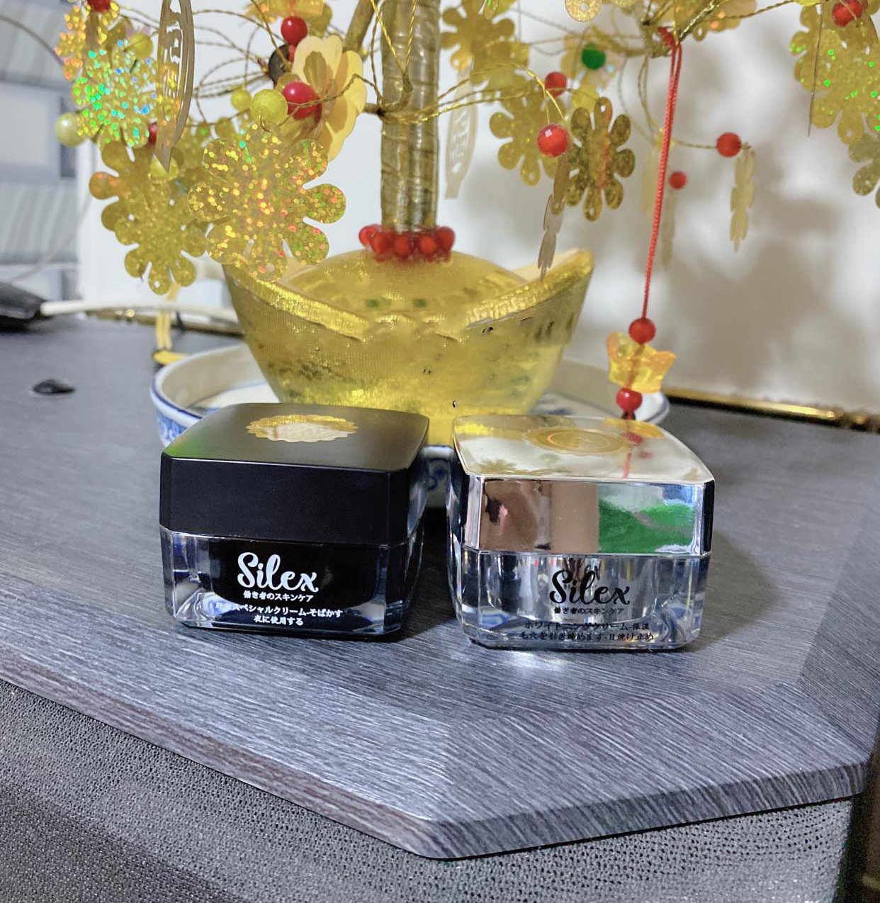 23725-392878961-929523385545330-5615998778781054793-n-3.jpg Kem Face Silex Ban Ngày 10g - FACESILEXNGAY