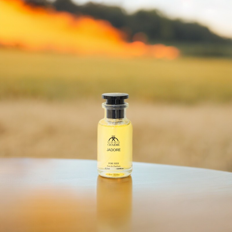 23974_z5337976475311-55e2f79a21cb0a6415929b9ff3c68e71-photoroom_20240411104116-1.jpg Nước Hoa Good Charme Jadore 25ml Mùi Nữ - 8936194694898