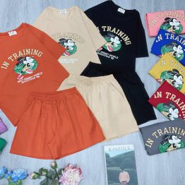 Đồ bộ quần đùi áo tay ngắn in chữ in training - DBO4711
