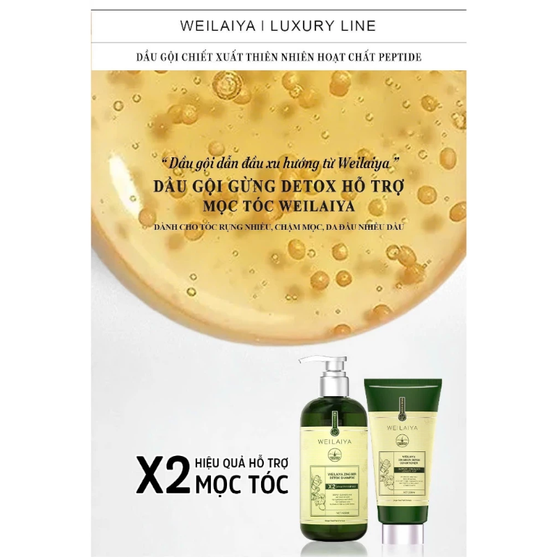 25320_cb-goi-xa-weilaiya-phu-photoroom-1_20240928154644-1.png Combo Dầu Gội Xả Gừng Weilaiya Màu Xanh Zingiber Detox X2 Ginger Essence Giúp Tóc Bóng Khỏe Giảm Gãy Rụng - GOIXAW02