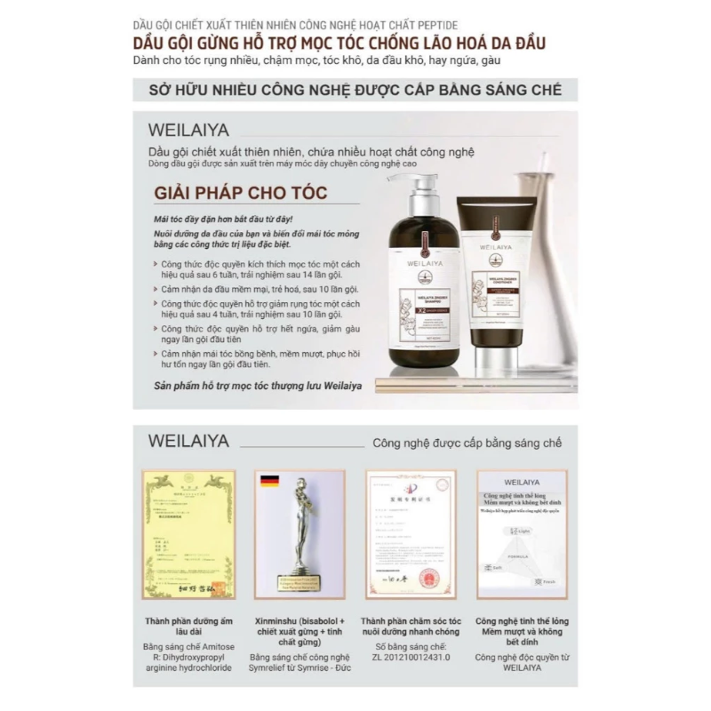 25321_cb-goi-xa-weilaiya-nau-phu-photoroom_20240928161120-1.png Combo Dầu Gội Xả Gừng Weilaiya Màu Nâu Zingiber X2 Ginger Essence Giúp Làm Sạch Gàu - GOIXAW03