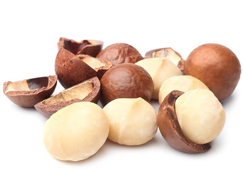 25738_hat-mac-ca-la-gi_20241113100801-5.jpg Hộp Hạt Macca Tây Nguyên Hộp Vuông Tròn 550G Hộp Quà Tết 2026 - HMTNHCN550