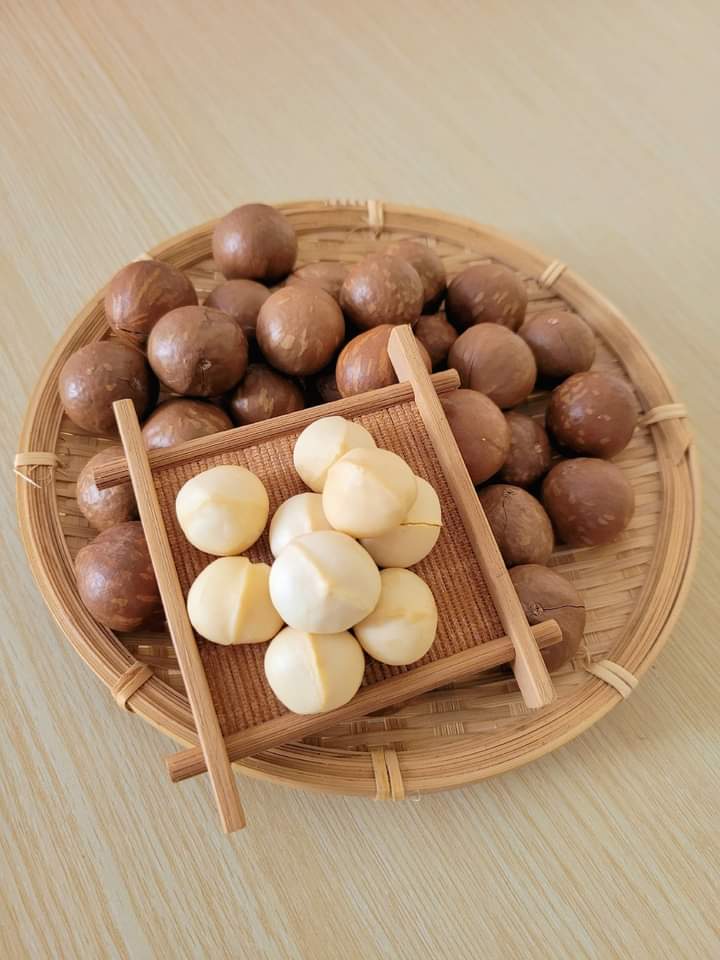 25738_macca-5_20241113100800-5.jpg Hộp Hạt Macca Tây Nguyên Hộp Vuông Tròn 550G Hộp Quà Tết 2026 - HMTNHCN550