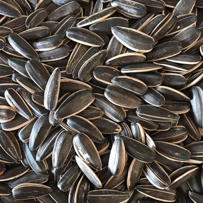 25766_hat-huong-duong-700x700_20241114170206-3.jpg Set Hộp Mix Hạt 3 Vị (Hạt Dưa, Hạt Hướng Dương, Hạt Bí Trắng) Sun Khía 3 Ngăn 300G Hộp Tết - HTVHSK300