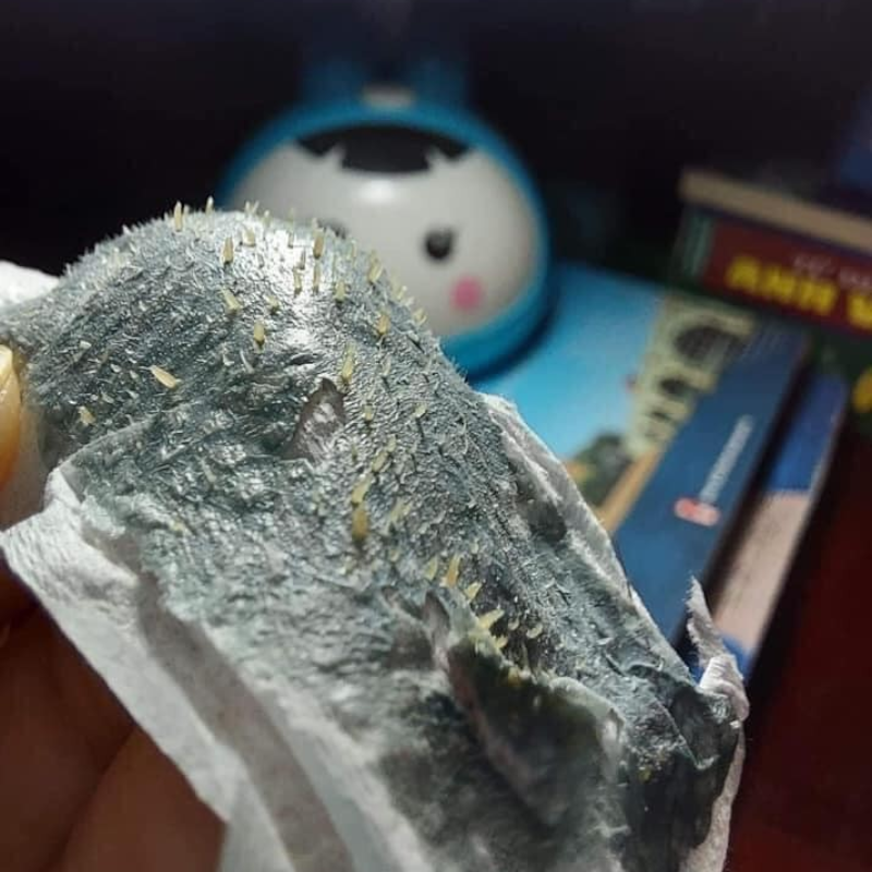 25842_phu-photoroom-21_20241129150458-1.png Gel Lột Mụn Đầu Đen Dr.Acne Smooth & Clean 40ml - 8936106220443