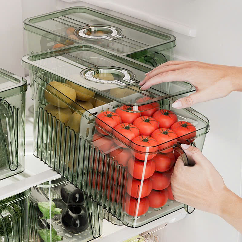 25923_z6219065589145-204c10606ff2f01c7f44cc70f9d04ba4_20250114095507-11.jpg Hộp Đựng Thực Phẩm Rau Củ Trái Cây Có Tay Cầm 28x13x13cm - HDTPCTC