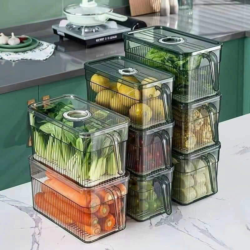 25923_z6219065613586-77db2ef648d4a23d23d93d47854ce296_20250114095508-11.jpg Hộp Đựng Thực Phẩm Rau Củ Trái Cây Có Tay Cầm 28x13x13cm - HDTPCTC