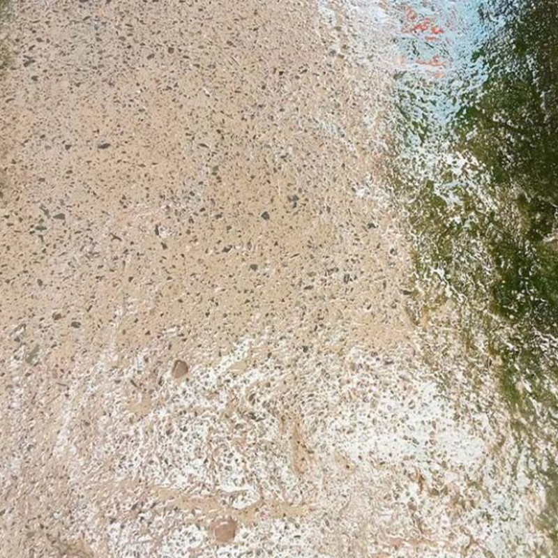 Phân phối bột Tẩy Rong Rêu Chống Trơn Trượt Sân Vườn Hiệu Quả 400g Phân phối bột Tẩy Rong Rêu Chống Trơn Trượt Sân Vườn Hiệu Quả 400g