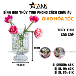 Bình Hoa Thủy Tinh - Lọ Hoa Mang Phong Cách Châu Âu Sang Trọng 19x10.5cm - BHTT04