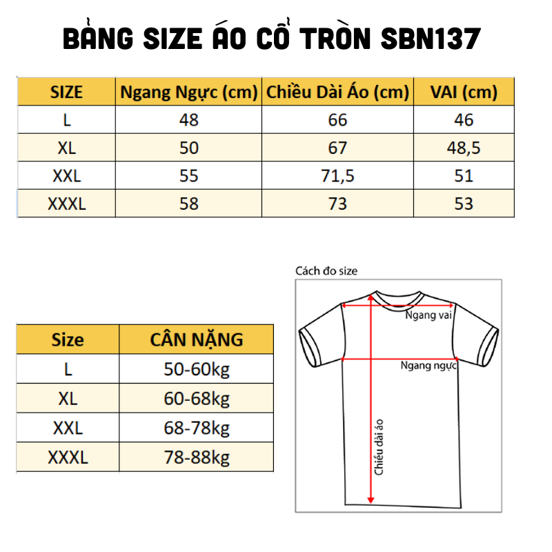 26161_2_20250323182822.png Set Bộ Nam Áo Thun Cổ Tròn Phối Sọc Màu + Quần Short Thun Thể Thao Cao Cấp (Big Size) - SBN137