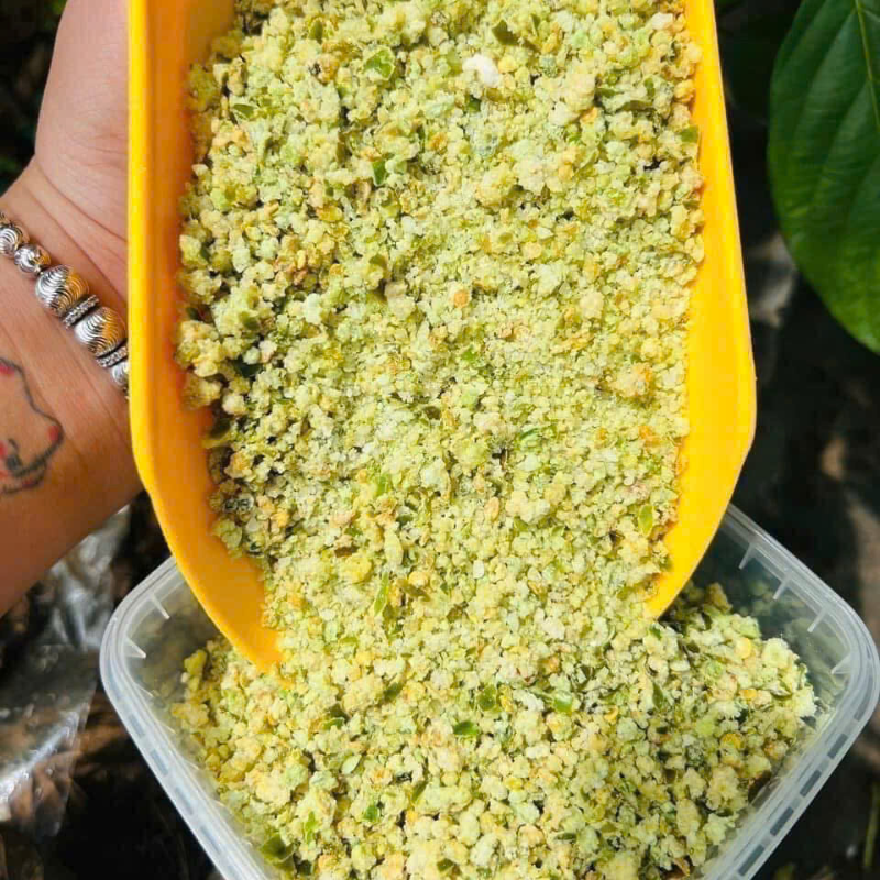 Bỏ sỉ hộp Muối Ớt Xanh Rang Khô 500g Bỏ sỉ hộp Muối Ớt Xanh Rang Khô 500g