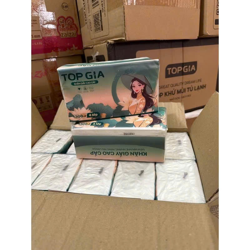 27066_z7248483088604-42e8aabd00916a317c230d3ac4a7e697_20251121233836.png Giấy Ăn Top Gia Cô Gái Túi 10 Gói - GIAYTOPGIACOGAI