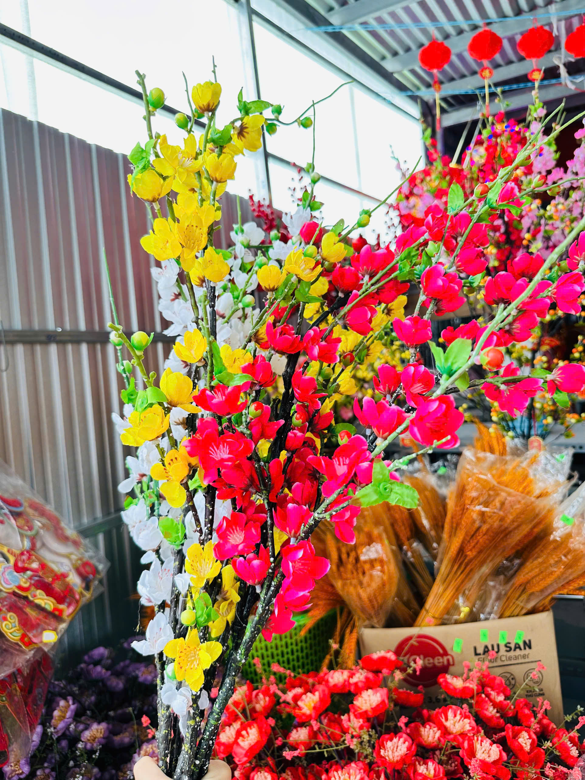 Phân phối set 5 CÀNH HOA ĐÀO CỔ - Ngắn Phân phối set 5 CÀNH HOA ĐÀO CỔ - Ngắn