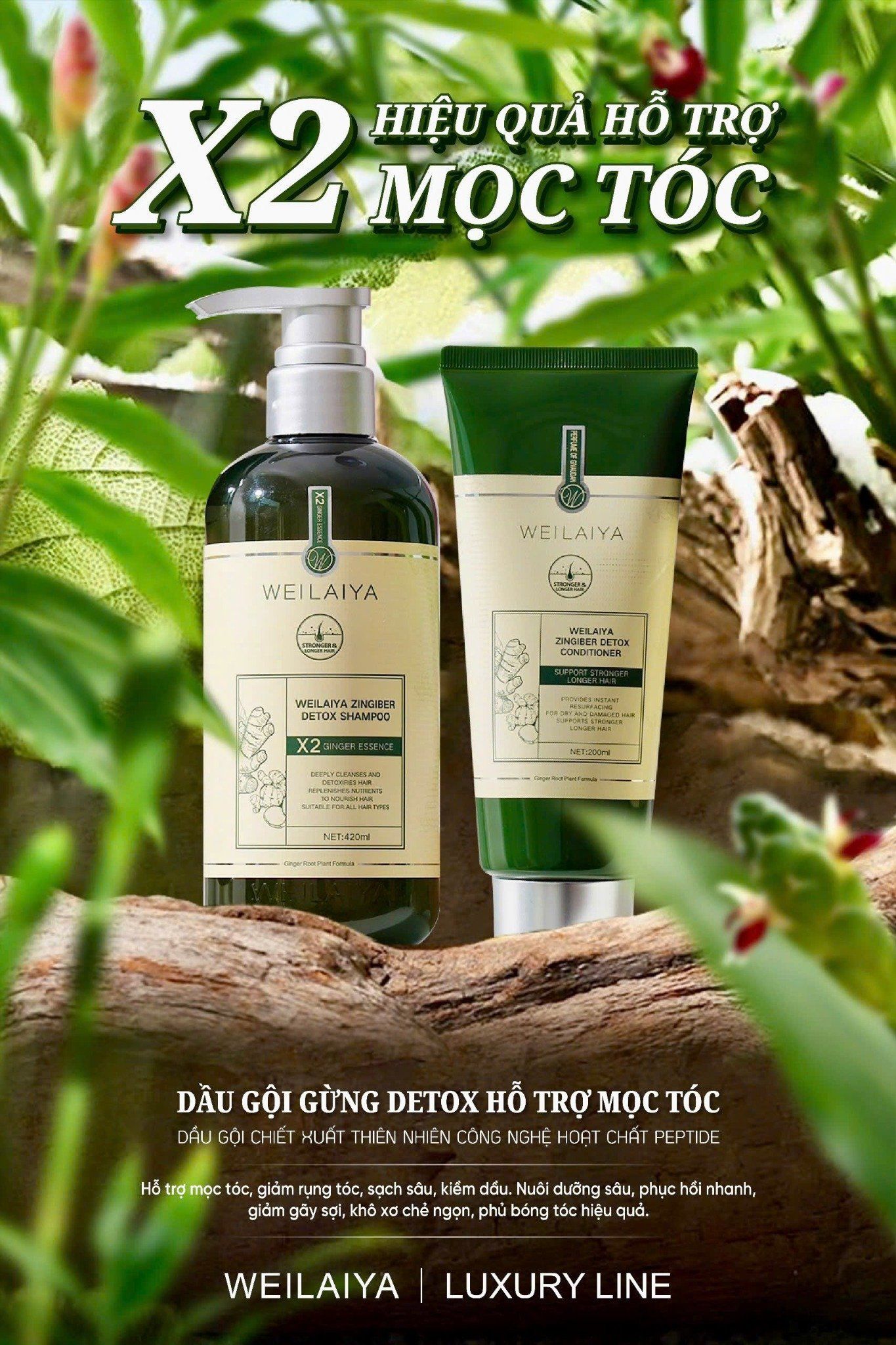 Dầu gội xả gừng detox hỗ trợ mọc tóc Weilaiya Luxury