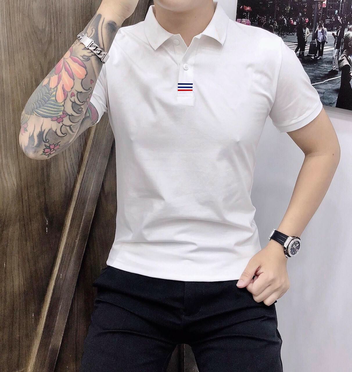 947-416d113e-4862-4673-b289-dd34b498fa81-1.jpeg Áo thun nam cổ polo thêu 3 sọc đỏ xanh( giá mới) - CS053