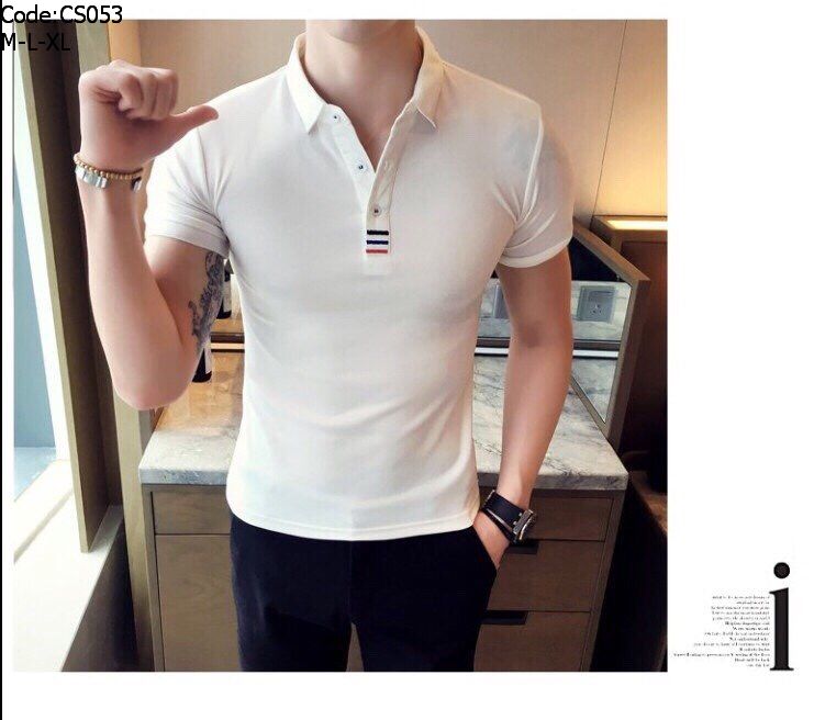 947-cs053-11-1.jpg Áo thun nam cổ polo thêu 3 sọc đỏ xanh( giá mới) - CS053