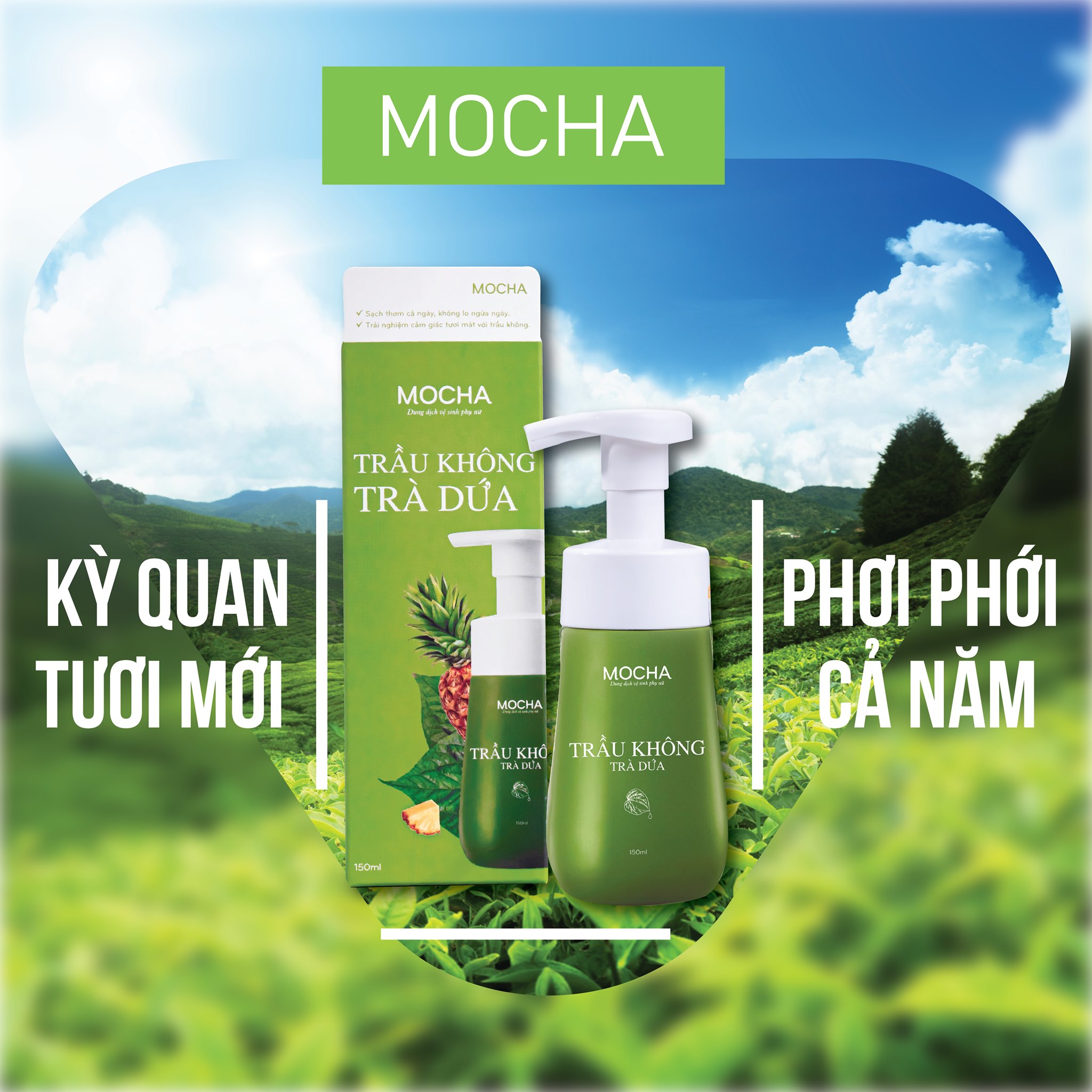 Dung dich vệ sinh trầu không trà dứa Mocha chính hãng