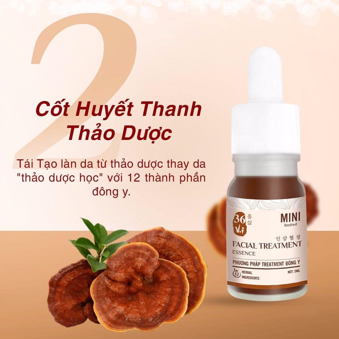 Cùng 36 vị trải nghiệm chu trình treatment đông y thảo dược