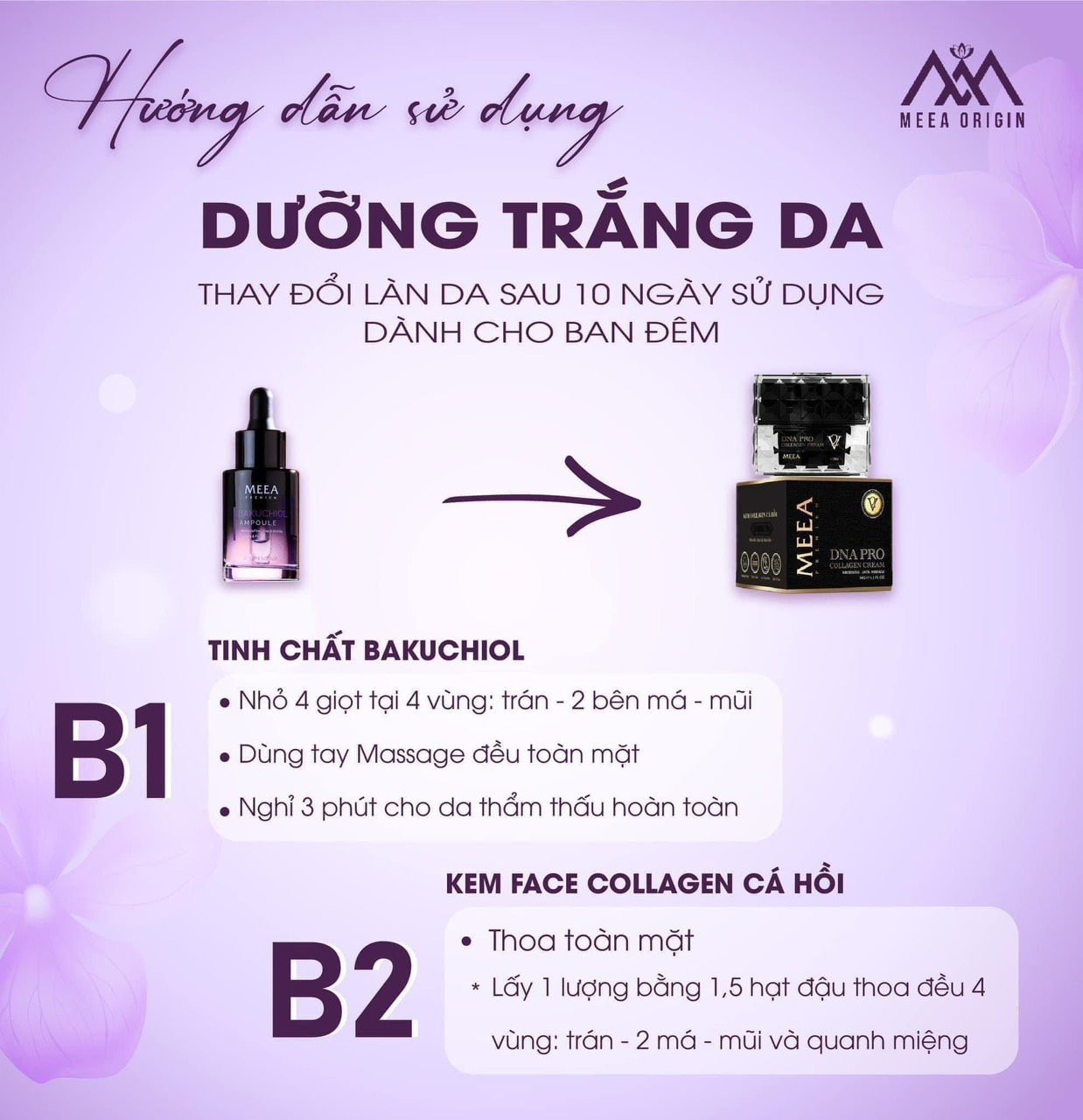 lão hóa ngược chỉ với combo Kem Face DNA cá hồi V2 và Ampoule Bakuchiol