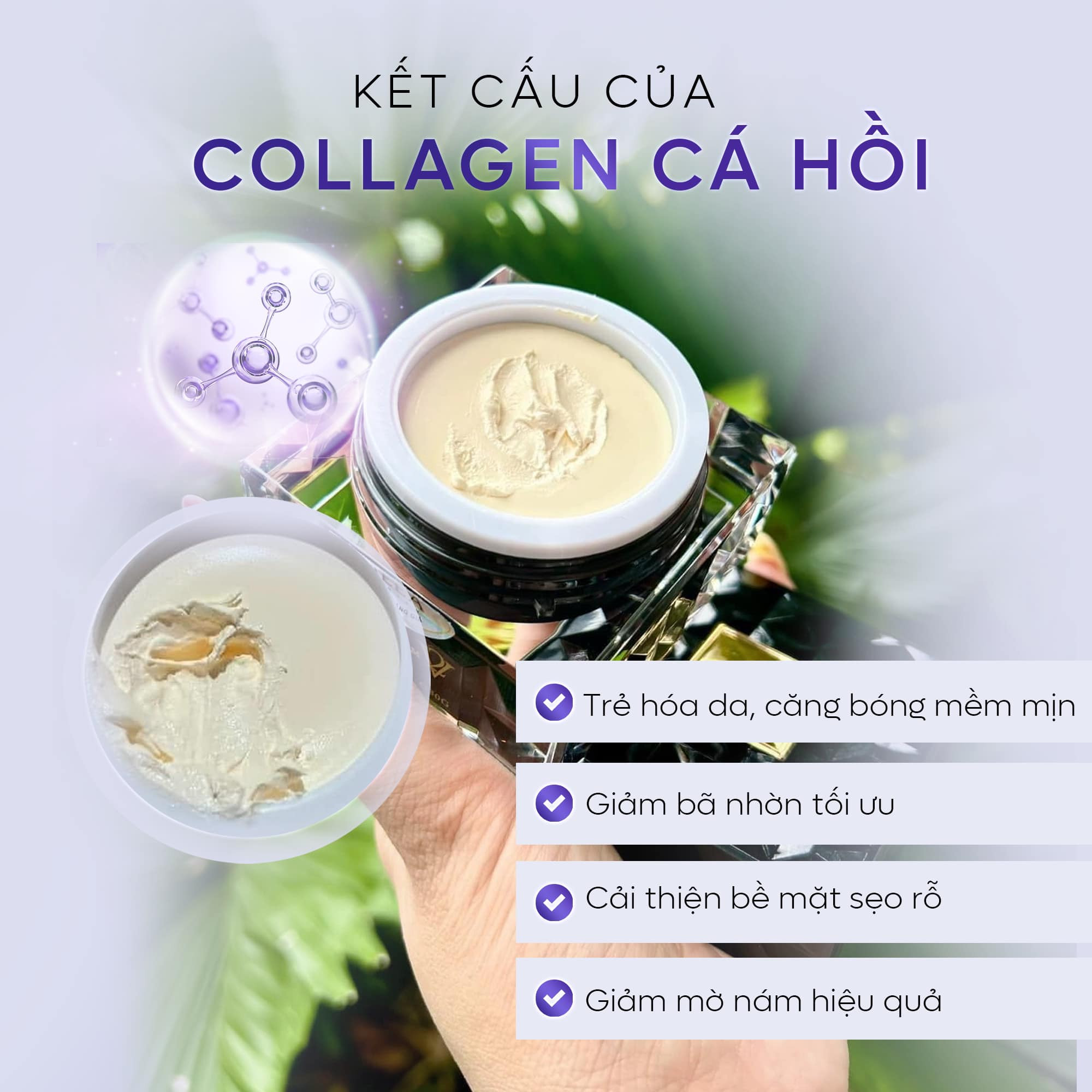 Combo Dưỡng Da Face Cá Hồi DNA Pro V2 Lớn + Serum Bakuchiol Ampoule V2 Lớn Meea Orgin