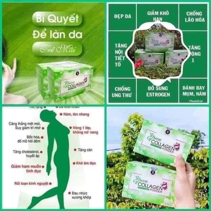 Diệp Lục Collagen Green Powder